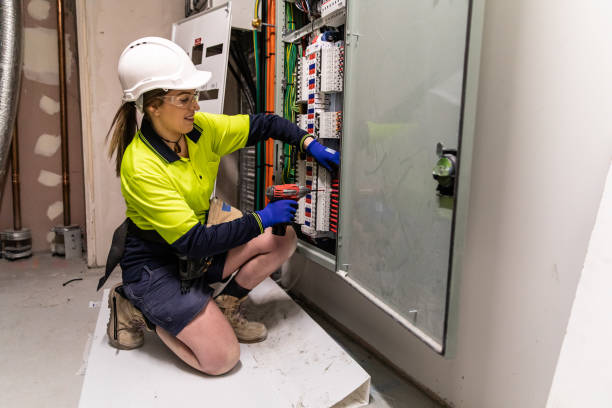 Best Ceiling Fan Installation Electrician  in Willow, AK