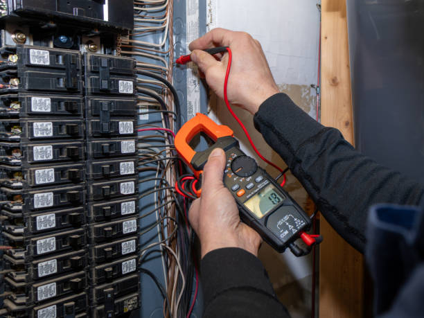 Best Electric Panel Repair  in Willow, AK